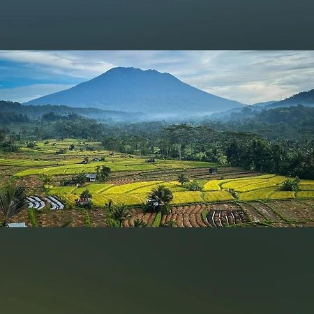 Lumbung Ayu Sari And Spa Sidemen  Exterior foto
