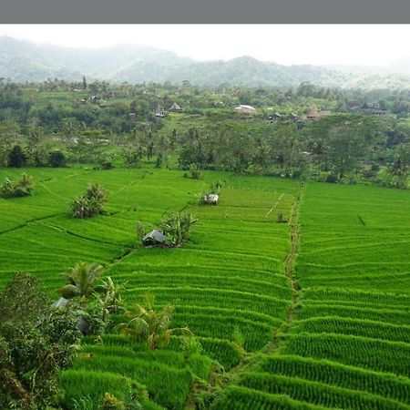 Lumbung Ayu Sari And Spa Sidemen  Exterior foto
