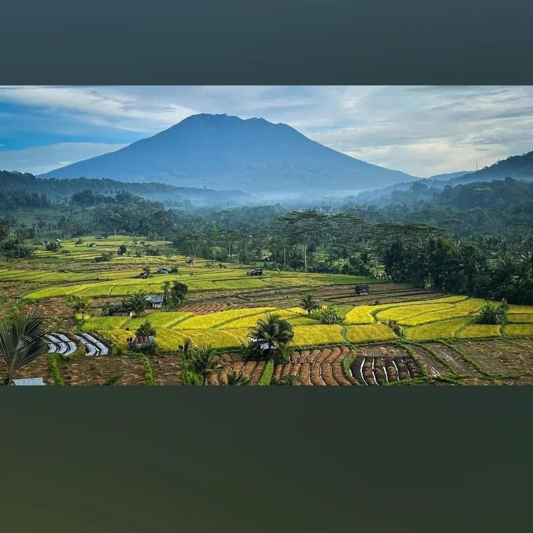 Lumbung Ayu Sari And Spa Sidemen  Exterior foto